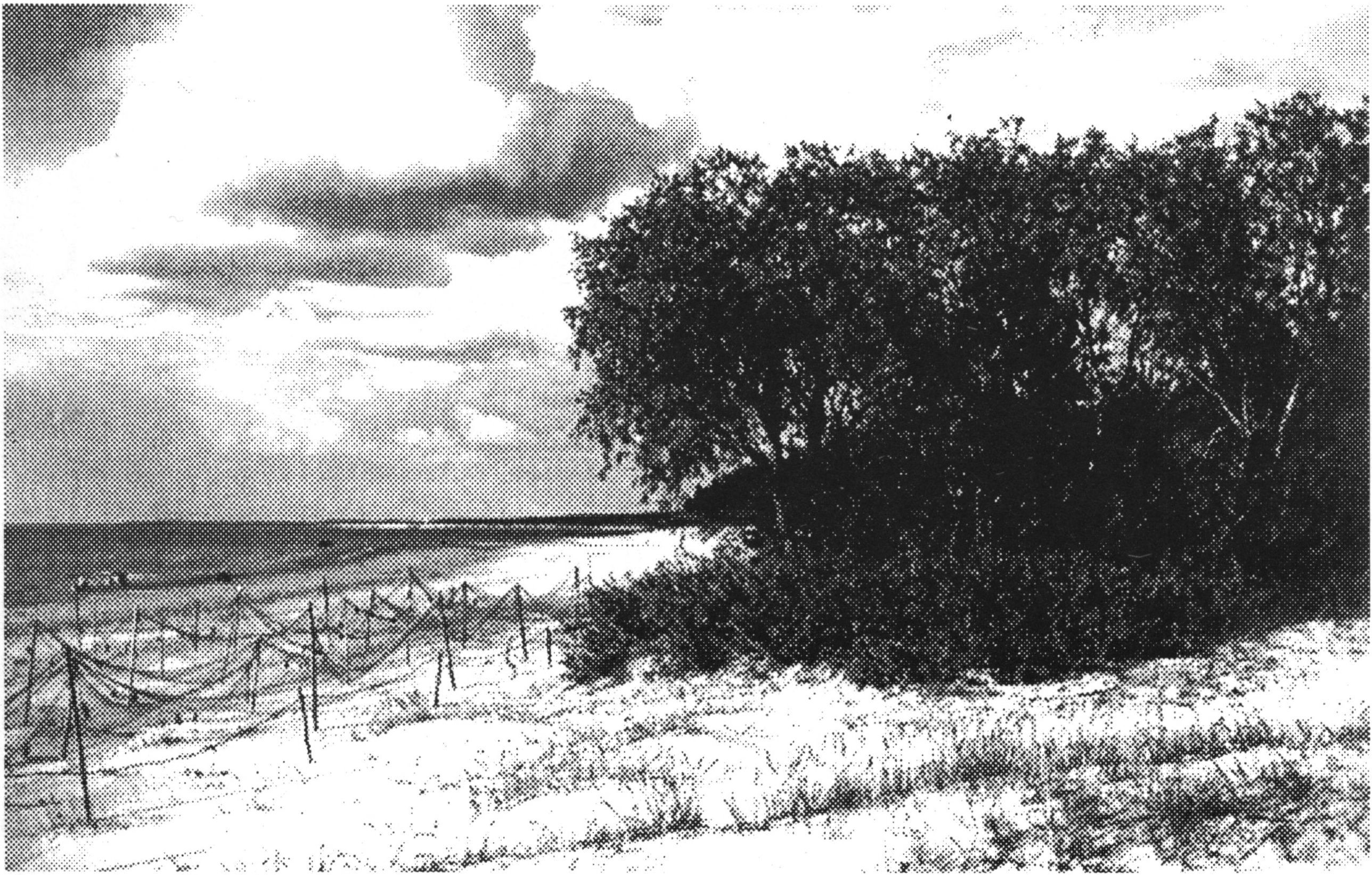 Берег Моря в Шмецке. Открытка конца 20-х годов, в архиве автора